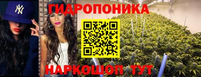 шишки Краснознаменск