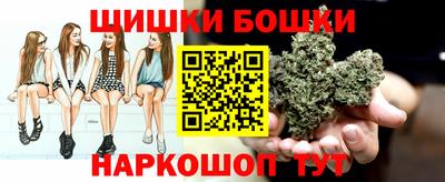 шишки Краснознаменск