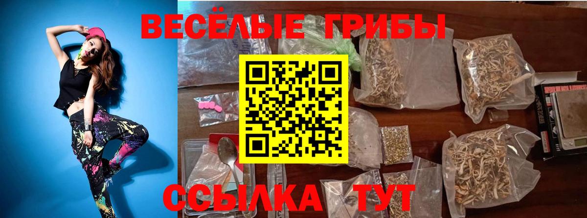 Псилоцибиновые грибы мицелий  Вход с VPN  Кисловодск 