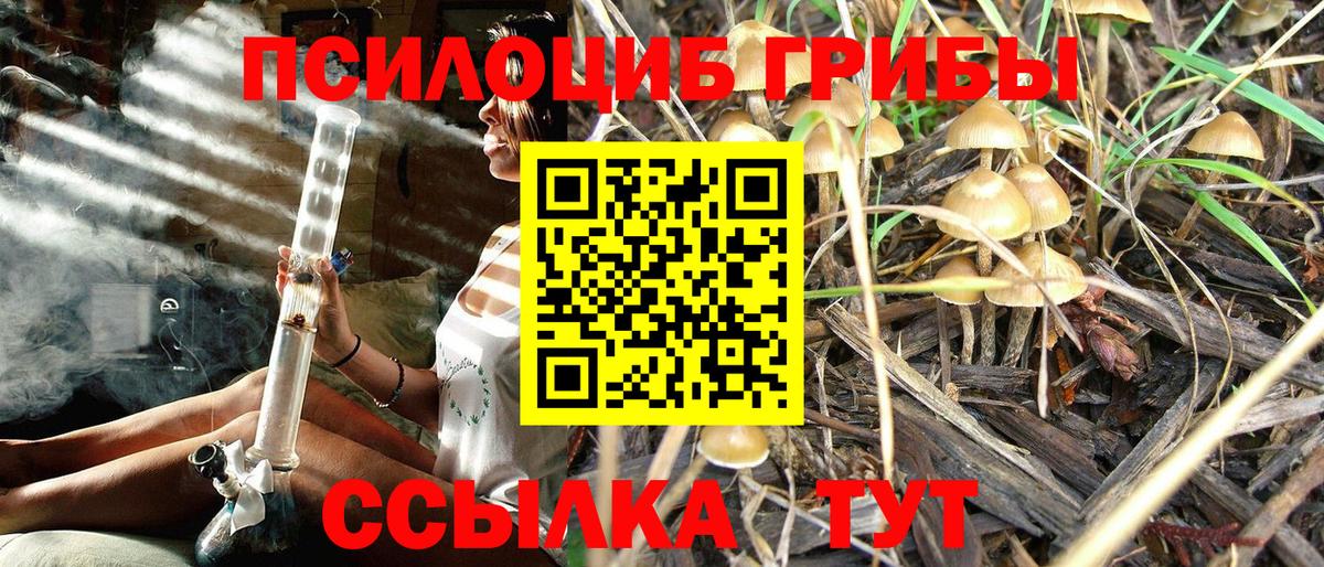 Галлюциногенные грибы Cubensis Кисловодск